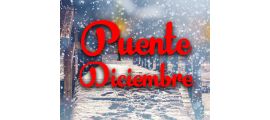 HORARIOS PUENTE DE DICIEMBRE 2024