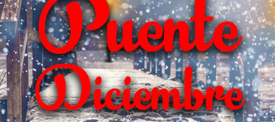 HORARIOS PUENTE DE DICIEMBRE 2024